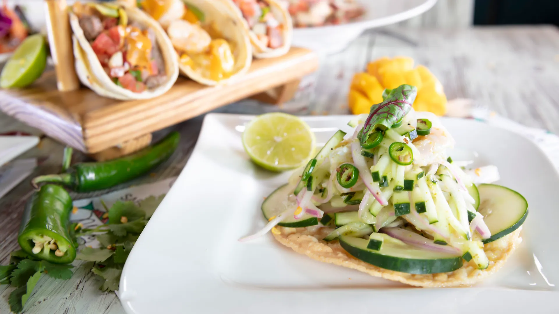Hotel The Palm (Adults Only) Playa del Carmen