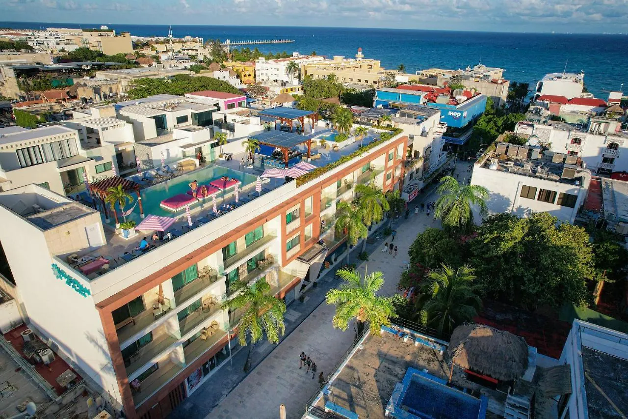Hotel The Palm (Adults Only) Playa del Carmen