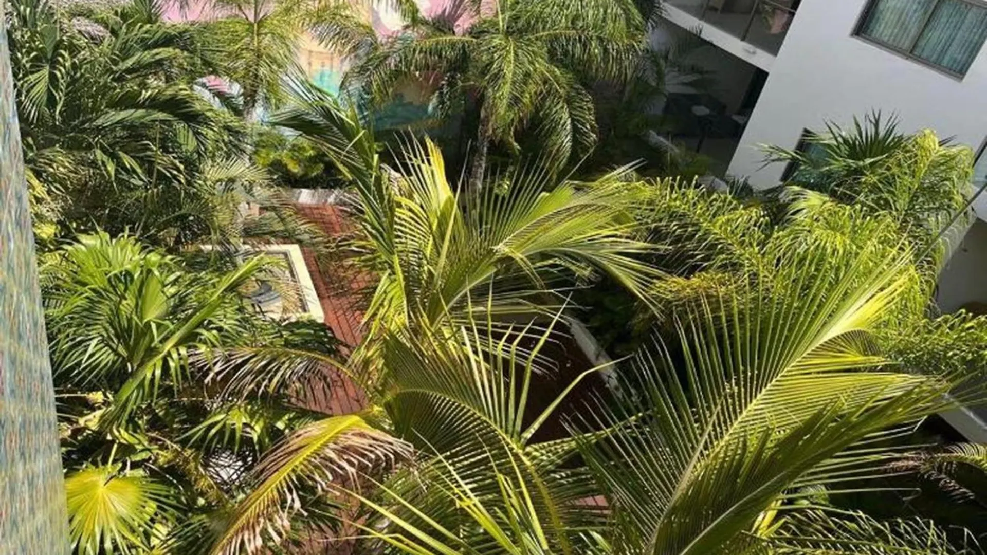 Hotel The Palm (Adults Only) Playa del Carmen 4*,